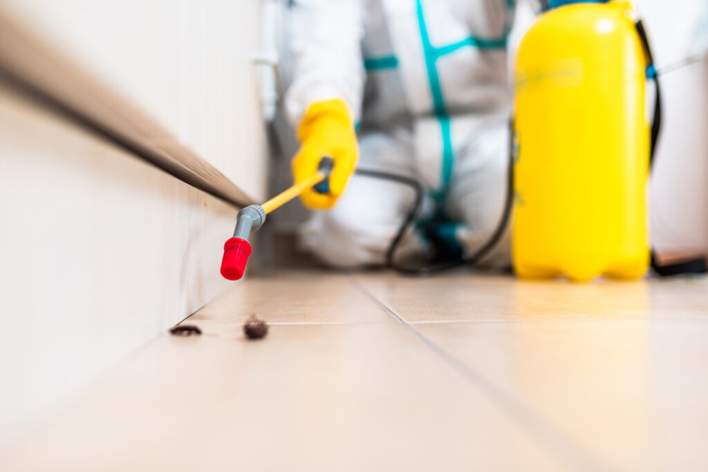 Lufkin Cockroach Experts