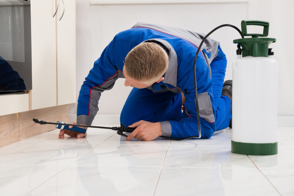 Lufkin Ant Control Xperts