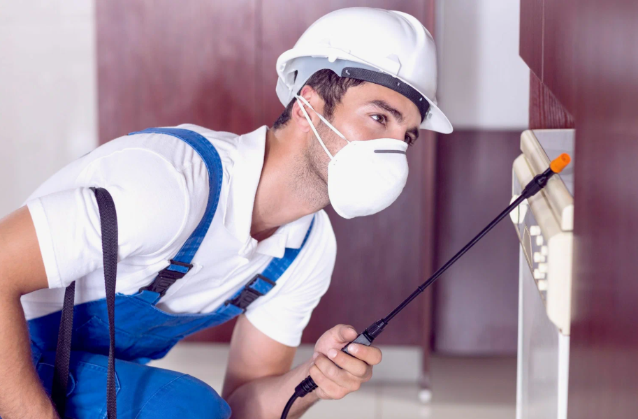 Lufkin local pest services