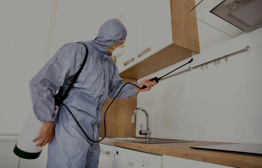 Lufkin pest managment